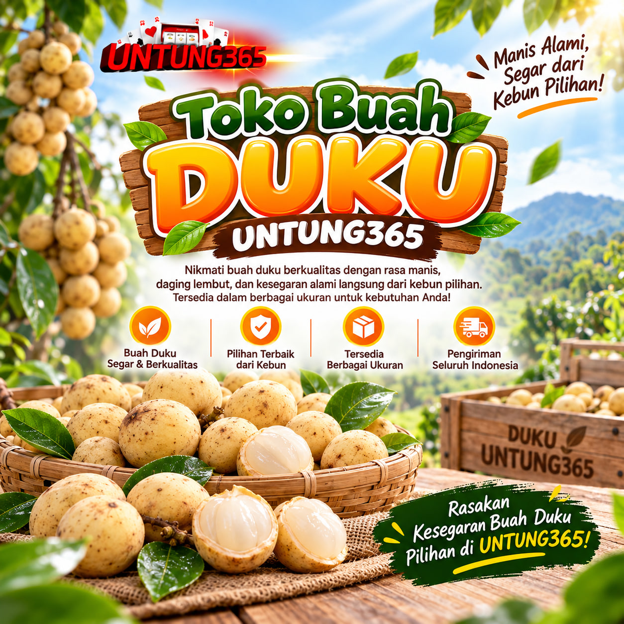 Buah Duku Segar